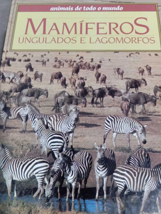 Enciclopédia de 12 livros sobre animais de todo o mundo