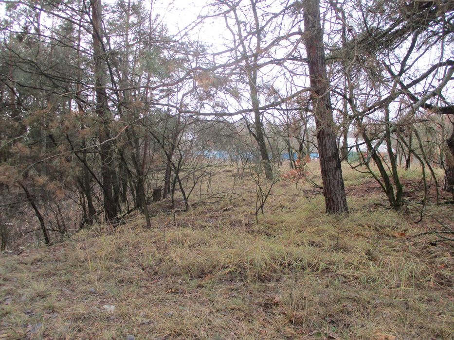 Продаж земельної ділянки 22,47 сот. Київська обл., с.Жукин  9100$