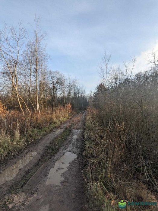 Дачна ділянка Ст Мочари 12 сот (9)