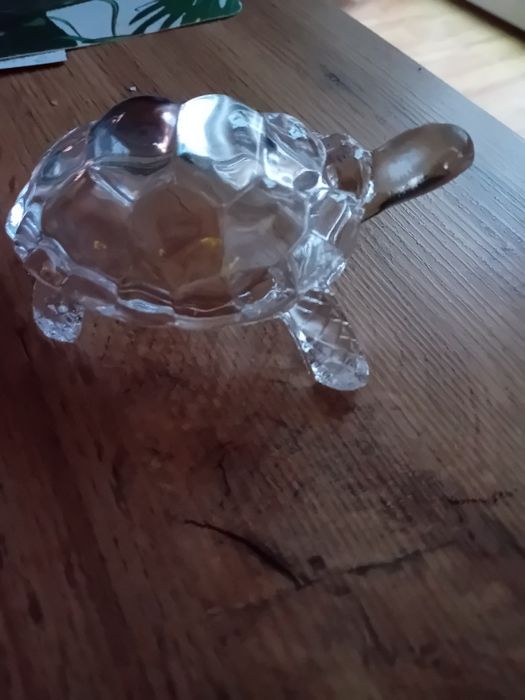 Żułw szklany dla kolekcjonera