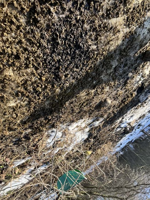 Oddam nawóz bio pochodzenia końskiego (GNÓJ)