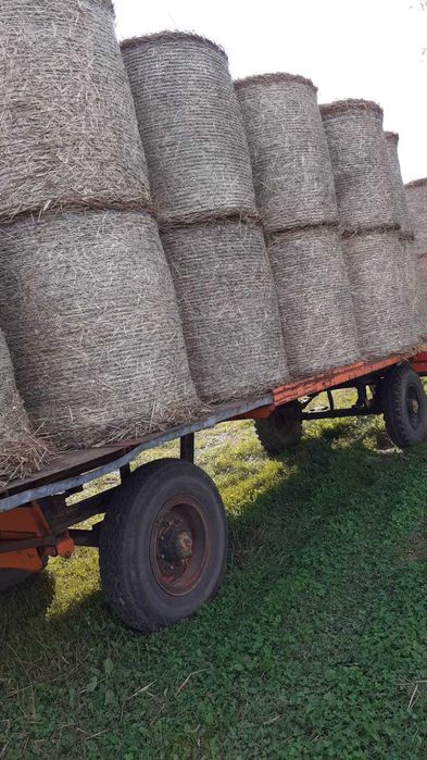 Bele słomy i siana sprzedam 2025