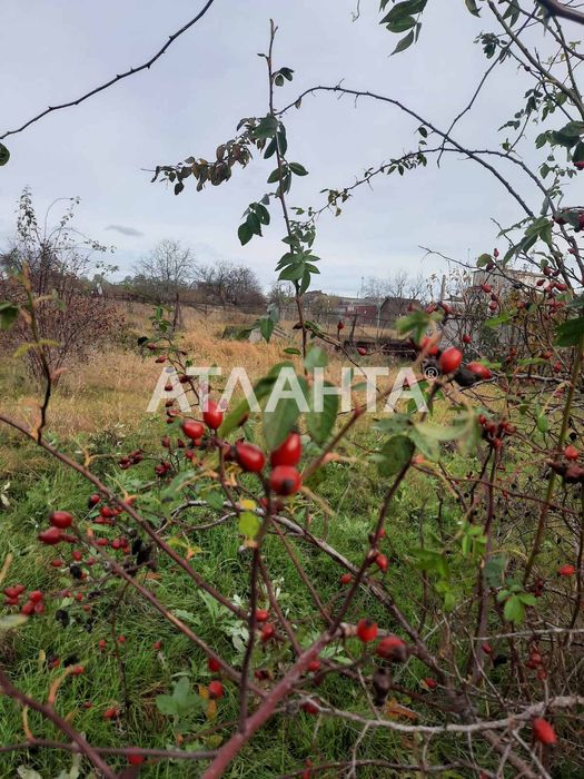 Одноэтажный дом на 15 сотках под программы готовы