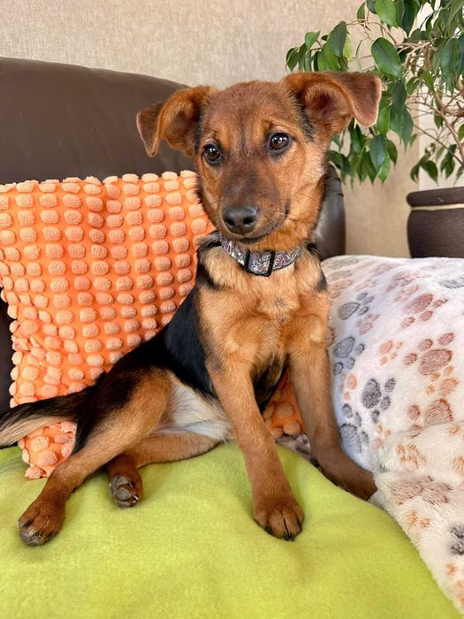 Urocza Zonia czeka na rodzinkę!