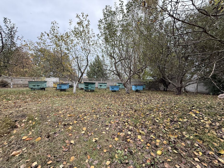 Будинок з ремонтом та виходом до водосховища . Велика ділянка, баня