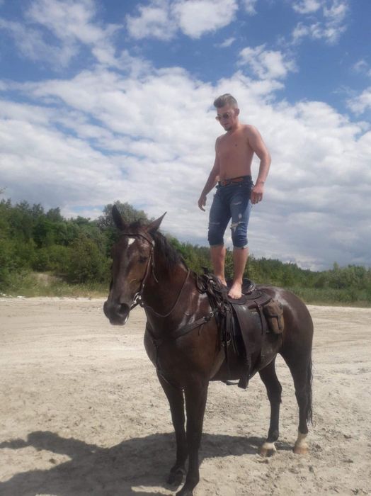 Klacz śląska sprzedam lub zamienię