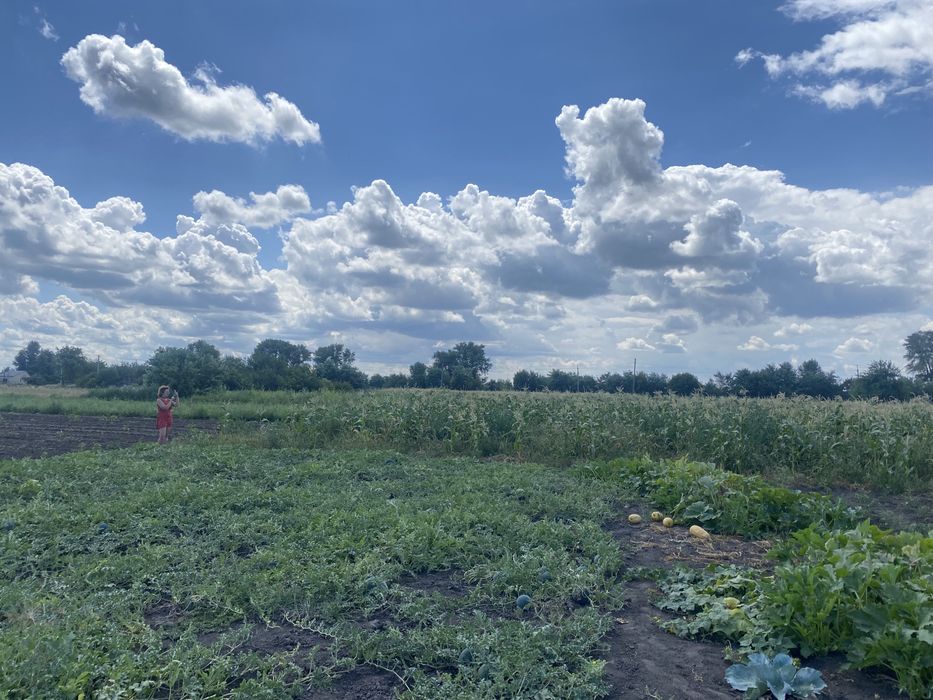 Продаж ділянки під забудову. Леськи. 25 соток