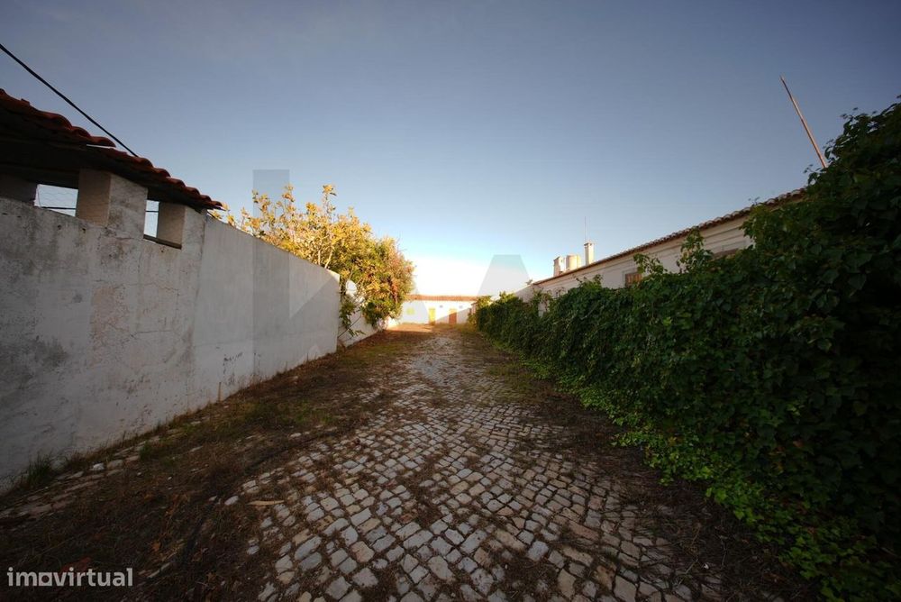 Oportunidade Única: Quinta Centenária para Recuperar em Localização Pr