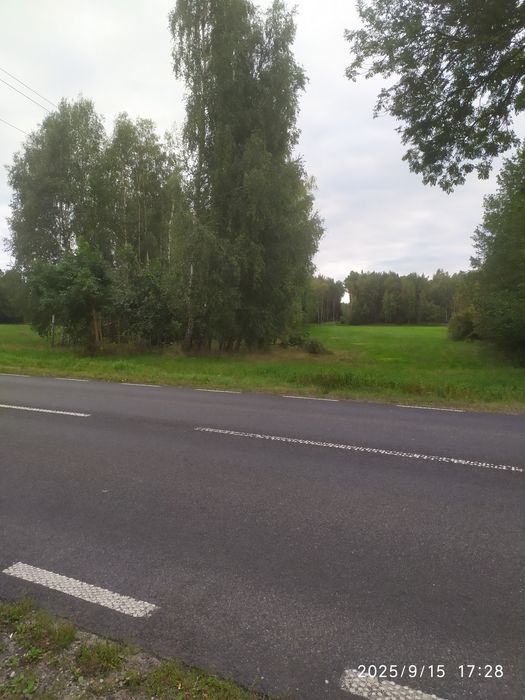 Sprzedam grunt 2,2825 ha przy drodze krajowej  nr.60