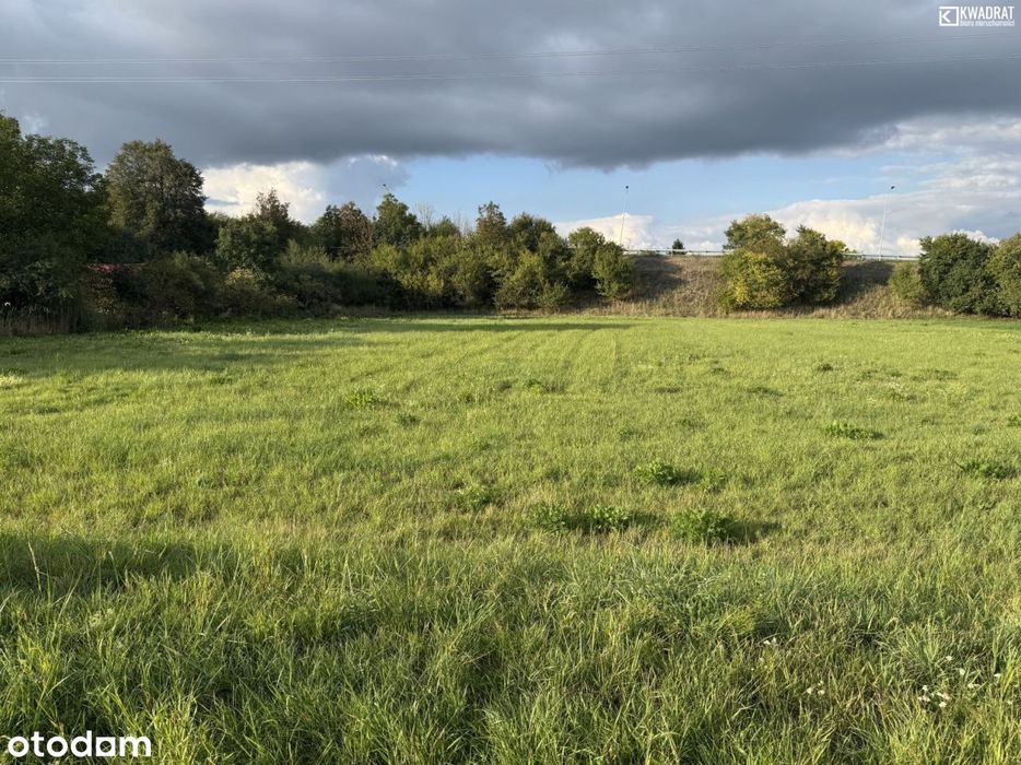 Działka budowlana | 2900m2 | 10 km od Zamościa