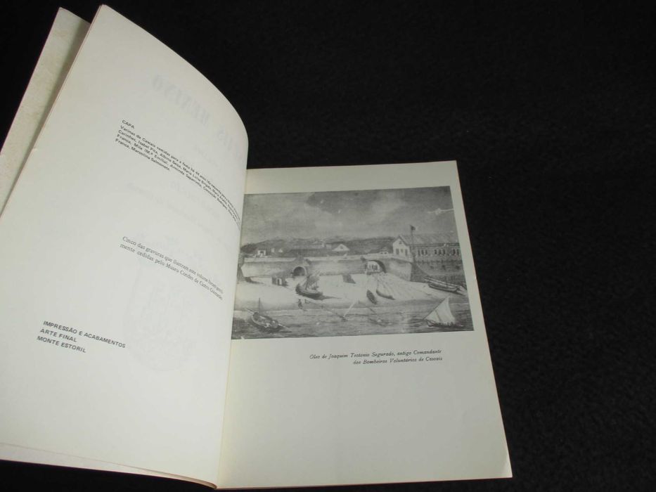 Livro Cascais Menino Pedro Falcão