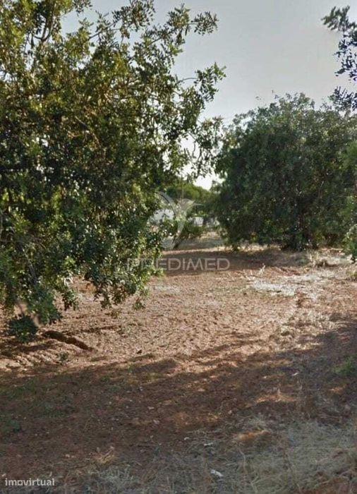 Quarteira-Triângulo Dourado-Terrneno Rustico P/Autocaravanas