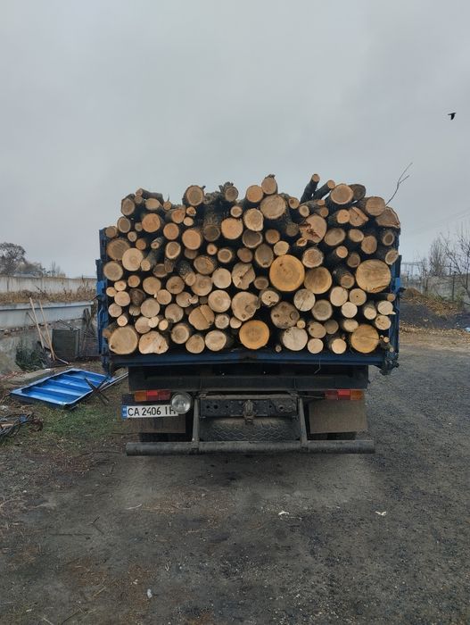 Продам дрова твердих порід опт/ розница