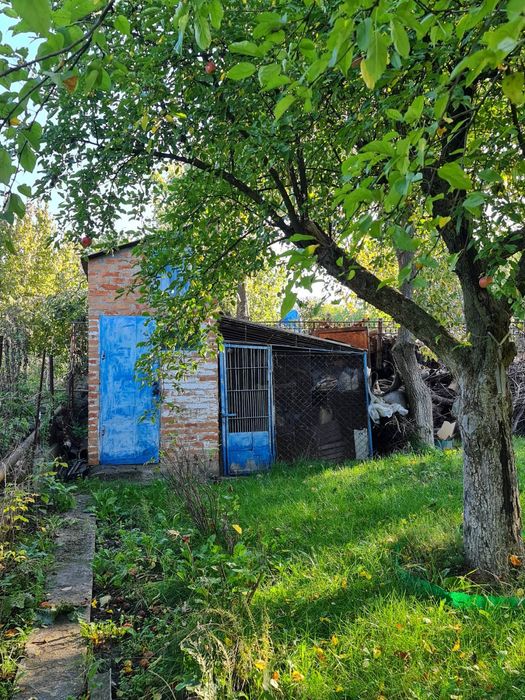 Продам дачу біля   міста  Пваденноккраїеська  в кооперативе  "Протон ".