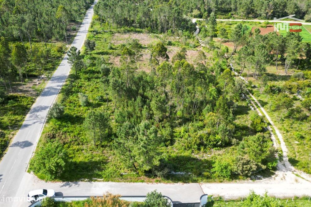 Terreno Rustico Com 5300 M2 Estrada Da Giesteira Em Giesteira Fátima — Fátima, Santarém
