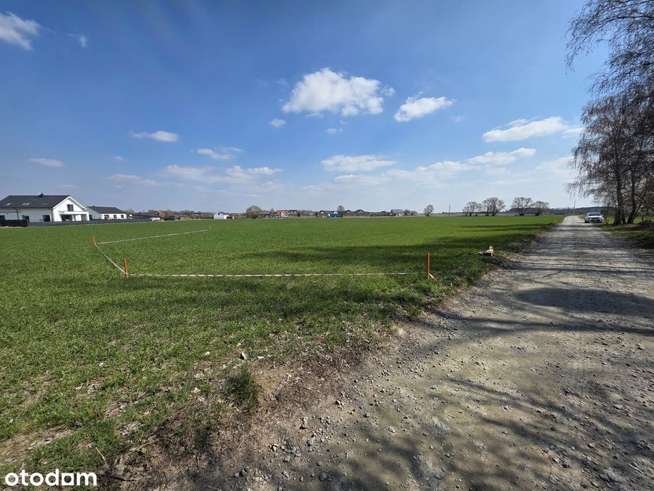 Ostatnie działki z lasem,Kórnik-Konarskie,Borówiec,Kamionki,Mościenica