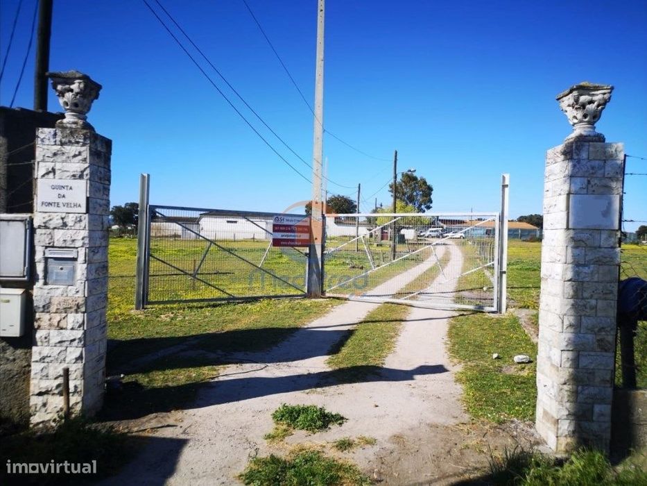 MTM6872 - Quintinha 11.500m2 | Palmela