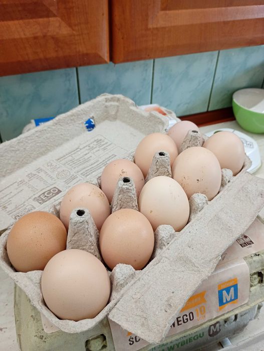 Sprzedam jajka konsumpcyjne