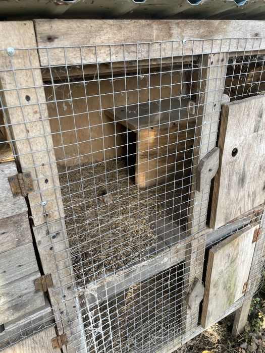 Кролячі клітки, клітки для кролів терміново пишіть