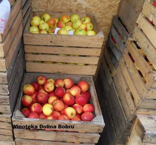 SoK Jeżyna Na102 op/6 x 330ml