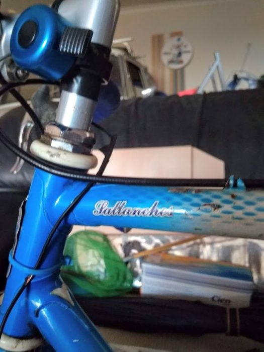 Bicicleta Vintage