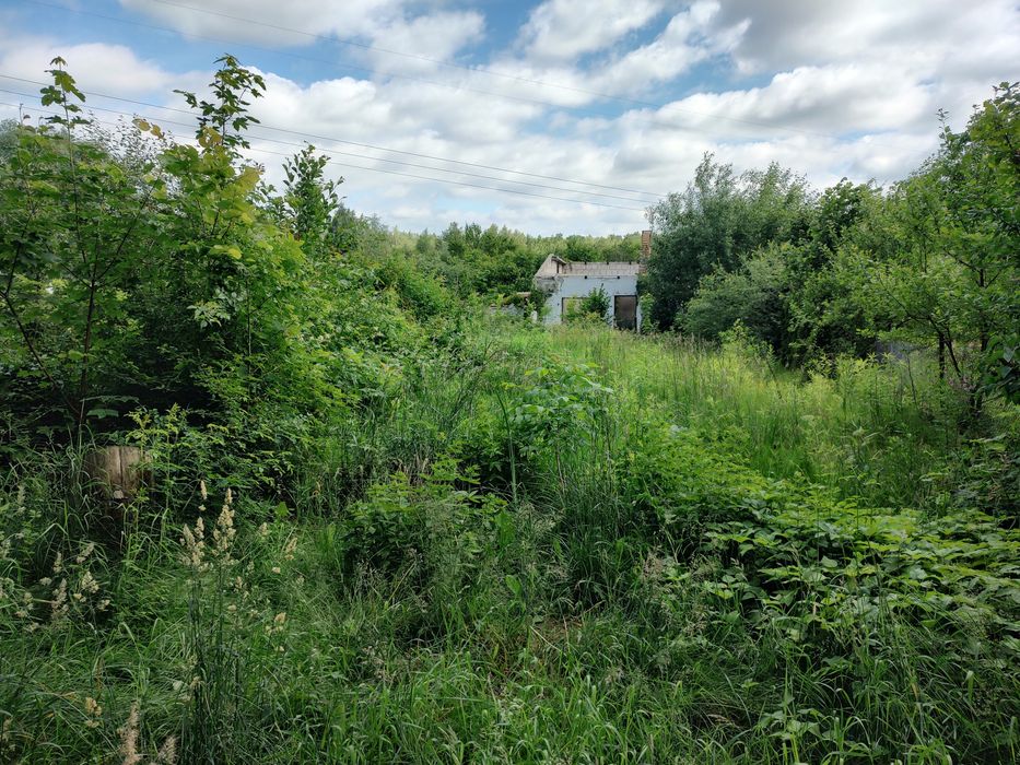 Działka rod jelonek - Widok 4
