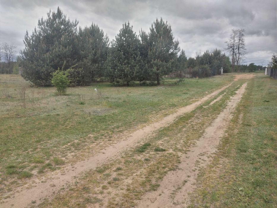 Zdjęcie 6