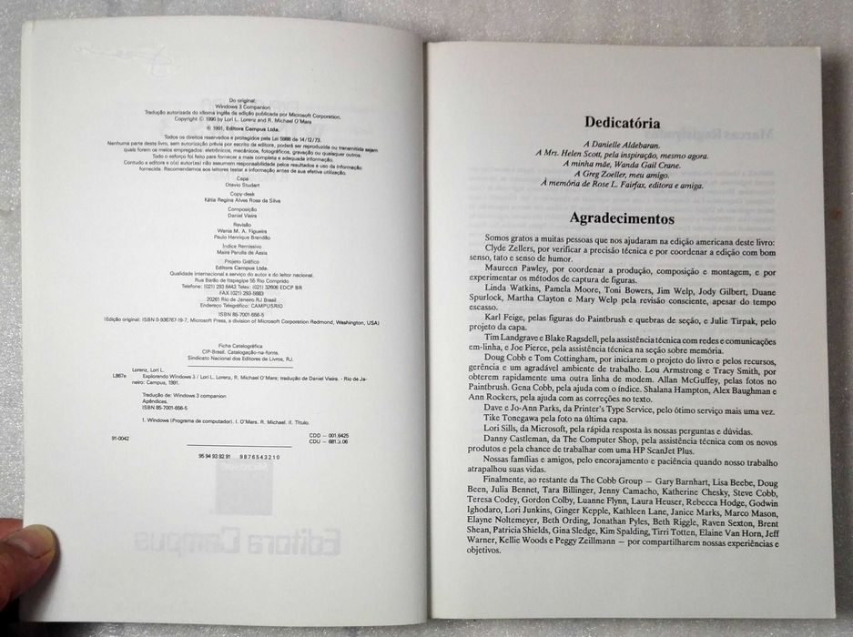 Livro Explorando Windows 3