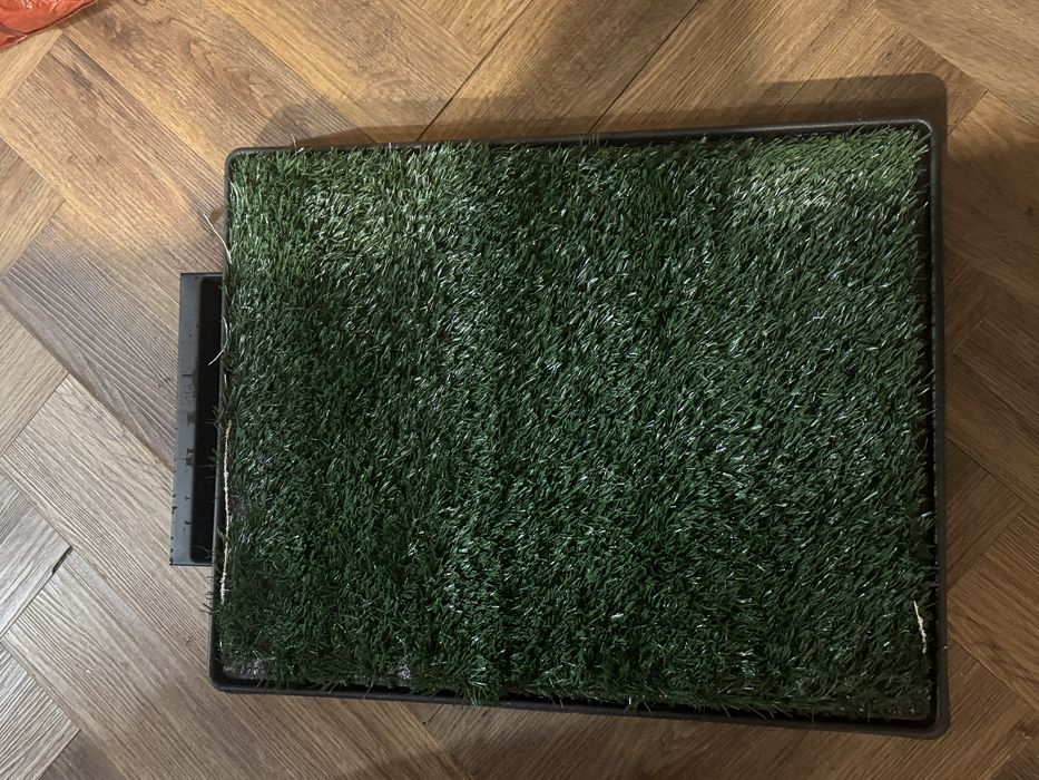 Kuweta ze sztuczna trawa mata czystosci mata treningowa duza 60x50 i 2