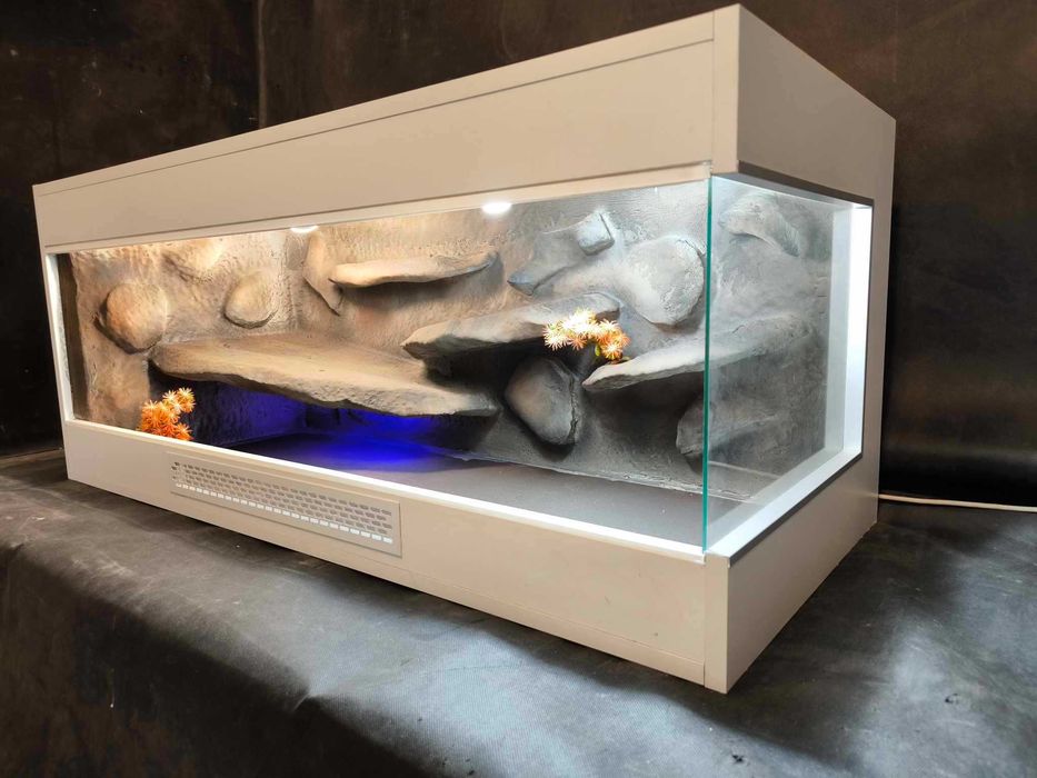 Terrarium pustynne agama gekon wąż zbożowy
