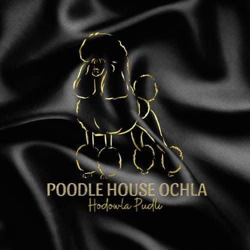 Reproduktor pudel miniaturowy