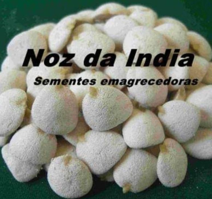 100 NOZES 69€  Qualidade SUPERIOR!