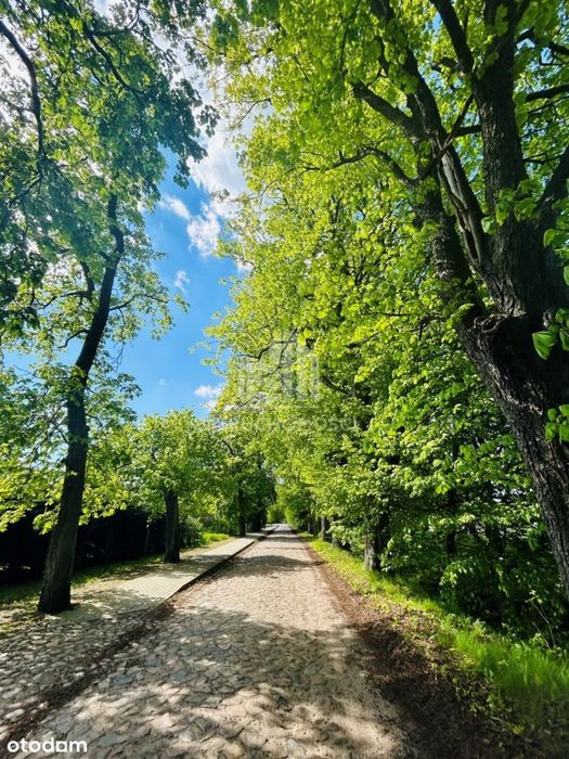 Działki budowlane pod lasem, pozw. na bud Rzędziny