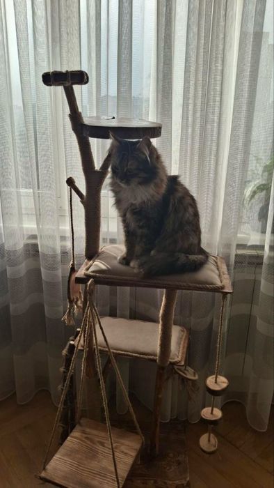 Дряпалка, кігтеточка для котів з натурального дерева, ручна робота