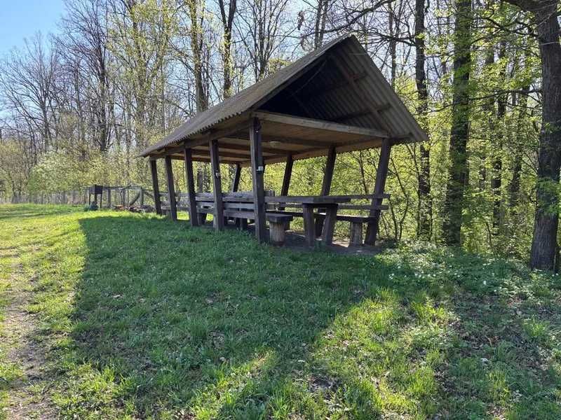 Мисливський будинок 218 м², на ділянці 0.5 га у лісі (Звягельський р-н). Готовий бізнес