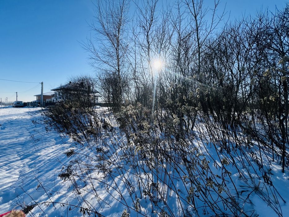 Продаж земельної ділянки Сокільники