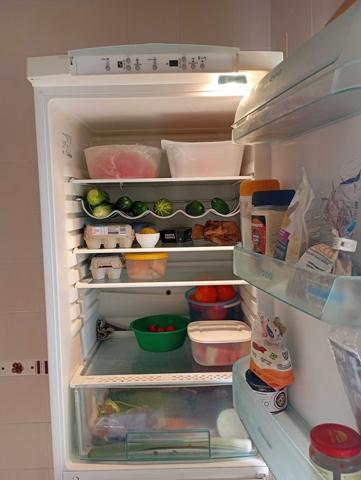 Combinado Electrolux- só funciona o frigorífico