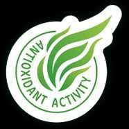 JĘCZMIEŃ BIO Green Ways - op. podróżne 125 g. (25 saszetek x 5 g.)