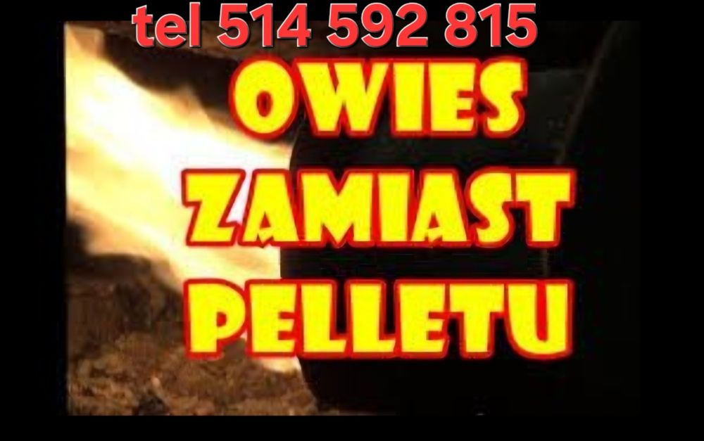 Owies do palenia zamiast peletu Workowany po 50 kg