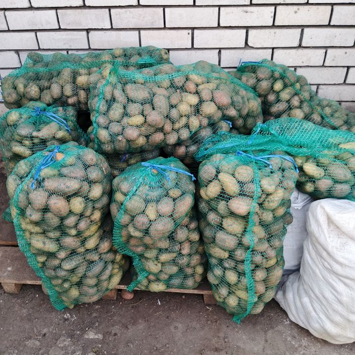 Продам Картоплю.