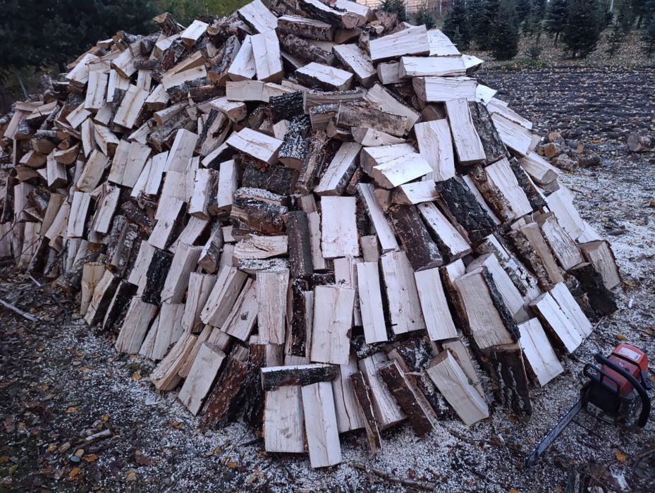 Brzoza, dąb czerwony, akacja