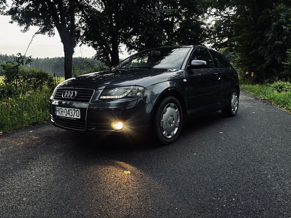 Audi a3 8p 2.0tdi