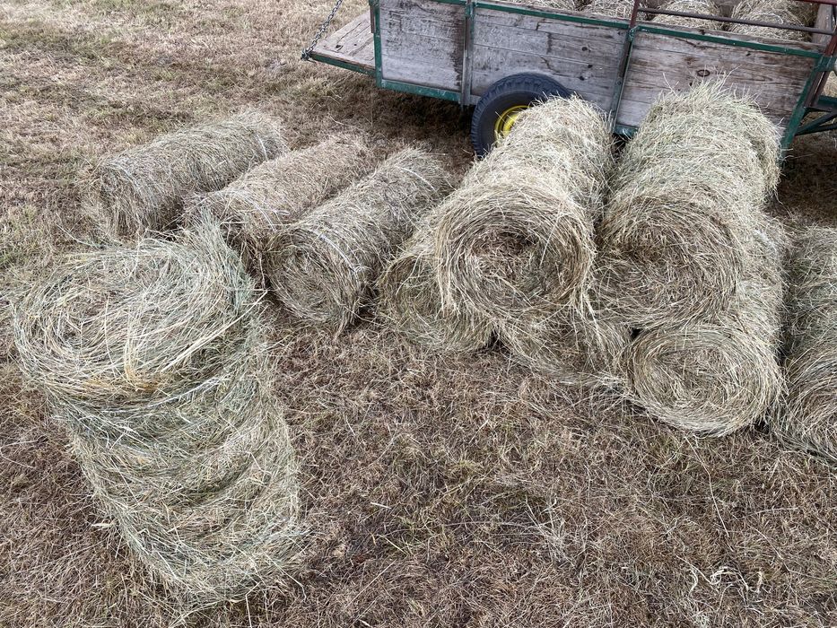 Siano mini rolki 23 kg – TANIO  Siano tegoroczne rolki +\- 23 kilo wagi