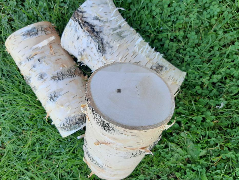 Pniaczki pieńki drewniane brzozy dekoracyjne na wnęki itp