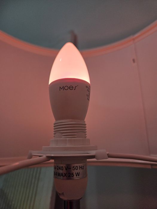 MOES Matter smart light e14 wifi