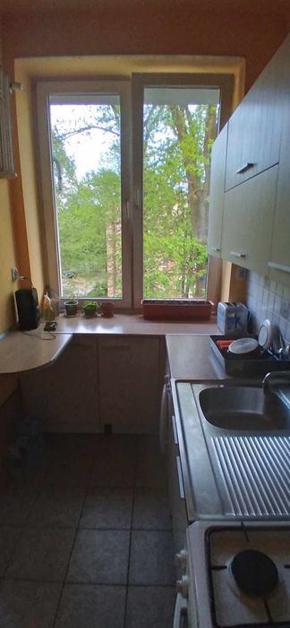 Do wynajęcia mieszkanie w Rzeszowie