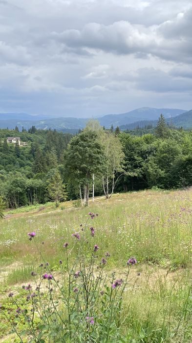 Продам земельну ділянку з гарним краєвидом