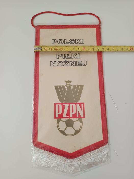 Seleção Polaca de futebol