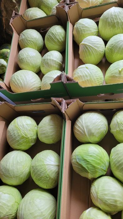 Ziemniaki i warzywa z dostawa dla Twojej gastronomii