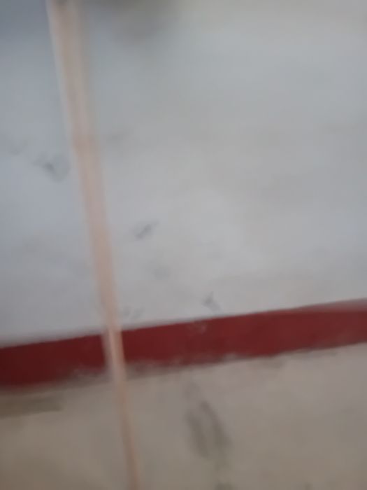 Vendo encinhos com dentes em ferro